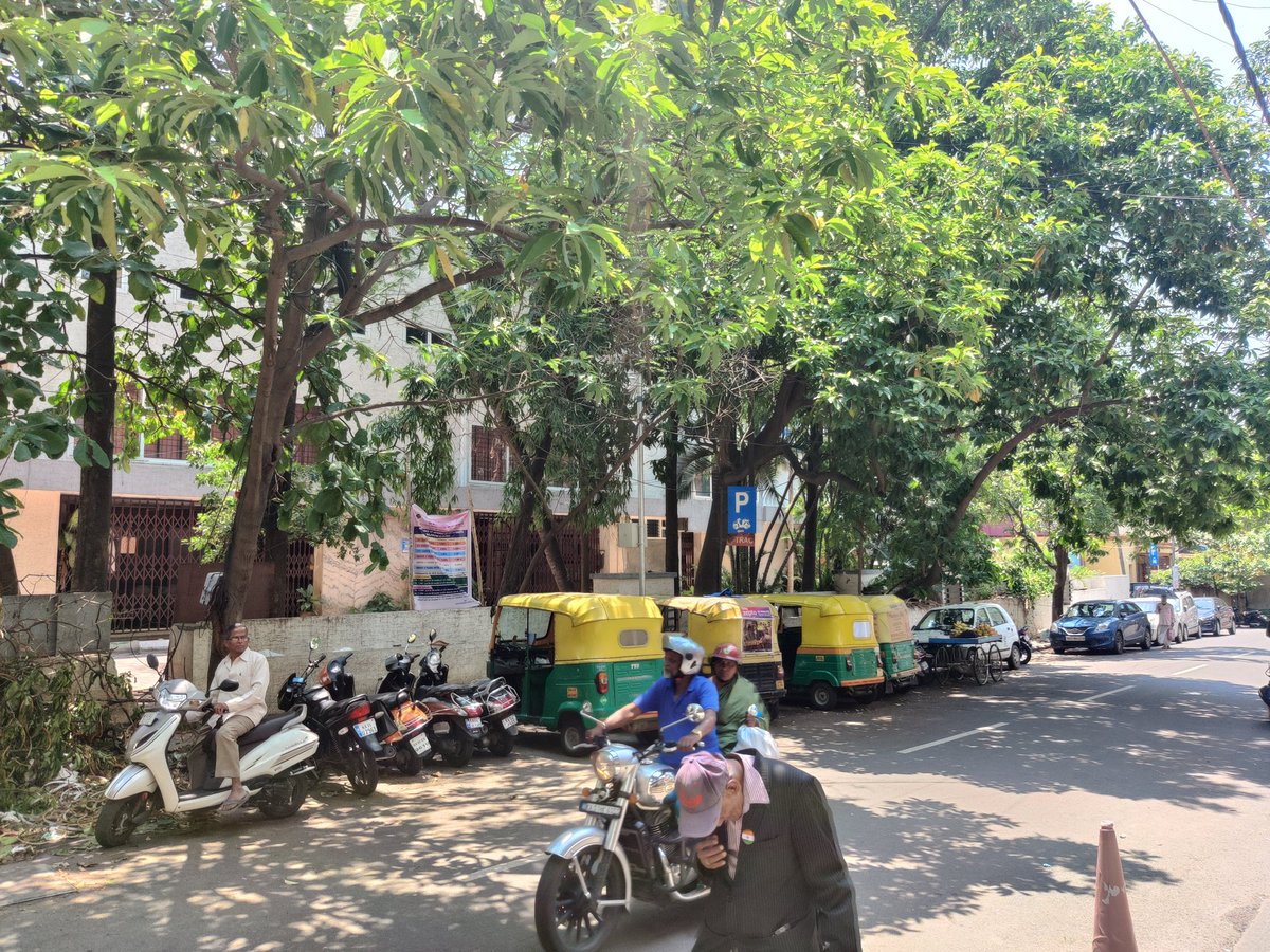 @BBMPCOMM @BBMPSWMSplComm @BlrCityPolice Request you to do something we are not able to do parking in 7th Cross Malleswaram These auto rikshaw drivers are not moving there vehicle since last 2 Months and we are not able to park in Bike Parking Zone also #bbmp #Bangalorepolice