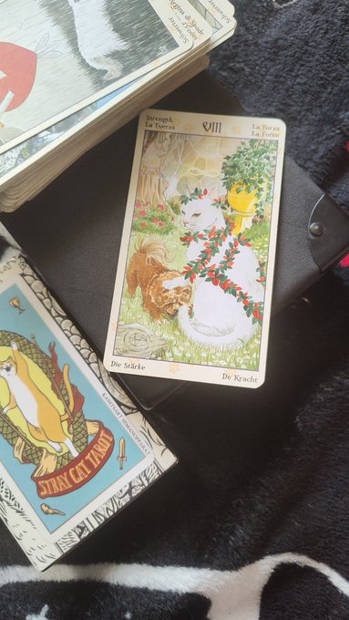 24 травня ваша #картадня у #таро це Сила! День сповнений подій! В нас з вами знову достатньо ресурсу<a href="/tag/%D0%BA%D0%B0%D1%80%D1%82%D0%B0%D0%B4%D0%BD%D1%8F"class="tags">#картадня</a><a href="/tag/%D1%82%D0%B0%D1%80%D0%BE"class="tags">#таро</a>
