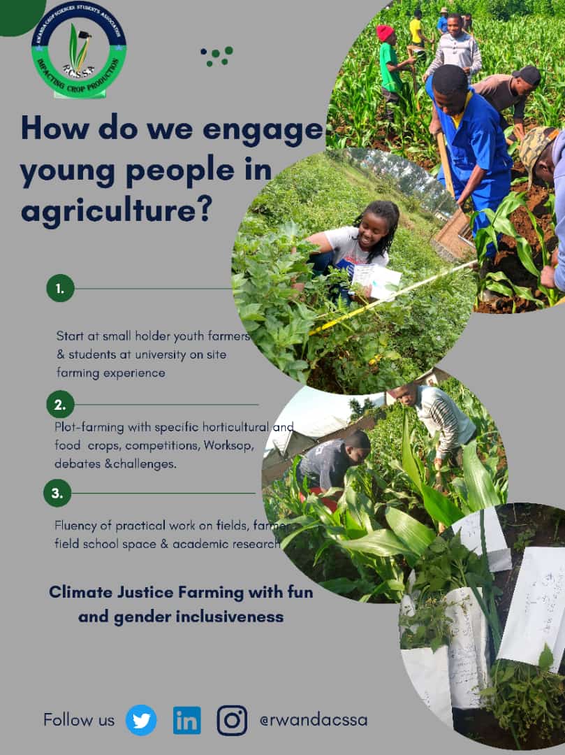 We need to join hands to do more than Below Highlighted!!

<a href="/IgiranezaAchil1/">Igiraneza Achille</a> @SamuelRwanda111 <a href="/jeandedieu014/">AgroJado</a> @IRADUKU04291462 <a href="/jcniyomugabo/">Jean Claude NIYOMUGABO</a> <a href="/NAP_Africa/">Nawiri Agricultural Programme</a> <a href="/Ndayizeyetheon6/">NDAYIZEYE Theoneste</a> <a href="/DAVIDKWIHANGAN/">KOMEZA KWANDA 🇷🇼</a> 

#BreakaGap
#EngageYouth