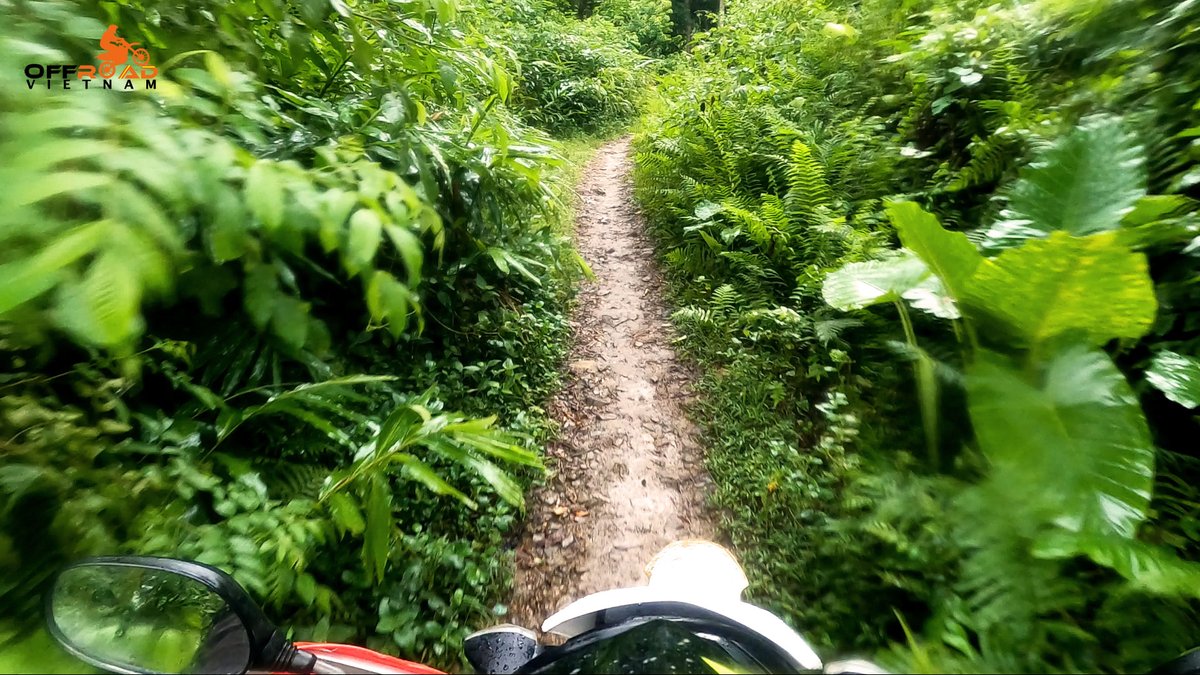 vietnamriders1's tweet photo. One of the best parts of motorcycling is the ability to explore new, exciting, and remote places 🏍️

📺 https://t.co/EL1g9omduo

#ridingwilderness #fullonadventure #extendtheboundaries #vietnam #xuhuong2023 #trending2023 #motorbike #tour #rental #honda #XR150L #CRF150L #CRF250L https://t.co/s5M9Z4EQ9Z