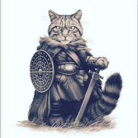 indywildycat54's tweet photo. @bear1867 I can testiy tae that a was born a #WarKitty https://t.co/0Kte2PBcr3