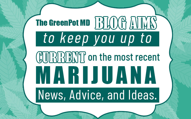 GreenPot MD Blogs are a valuable resource for individuals seeking information and insights about medical marijuana. #MedicalMarijuana #weedfeed #cannabis #marijuana #mmj #medicalcannabis #blogs #thc #smoke #medicine #CBD #patient #ganja  #weed #greenpot greenpotmd.com/blog/