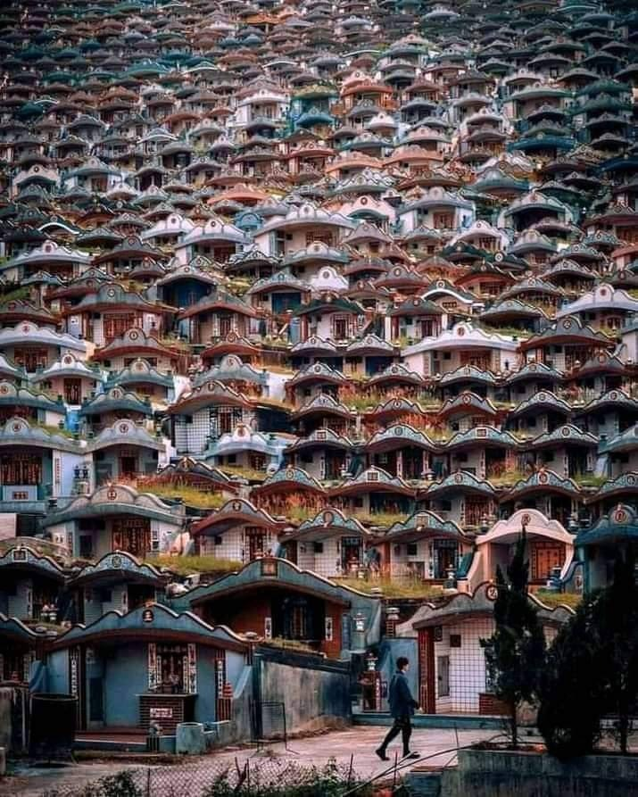Sanatani_Purnim's tweet photo. ताइवान के लोग भारतीयों से नफरत करते हैं क्यों...? जानना जरूरी है!

ताइवान में  करीब एक वर्ष बिताने पर एक भारतीय महानुभाव की कई लोगों से दोस्ती हो चुकी थी, परंतु फिर भी उन्हें लगा कि वहाँ क��� लोग उनसे कुछ दूरी बनाकर रखते हैं, वहाँ के किसी दोस्त ने कभी उन्हें अपने घर चाय के लिए तक नहीं बुलाया था
उन्हें यह बात बहुत अखर रही थी अतः आखिरकार उन्होंने एक करीबी दोस्त से पूछ ही लिया...?
थोड़ी टालमटोल करने के बाद उसने जो बताया, उसे सुनकर उस भारतीय महानुभाव के तो होश ही उड़ गए।
ताइवान वाले दोस्त ने पूछा, “200 वर्ष राज करने के लिए कितने ब्रिटिश भारत में रहे...?”
भारतीय महानुभाव ने कहा कि लगभग “10,000 रहे होंगे!”
तो फिर 32 करोड़ लोगों को यातनाएँ किसने दीं? वह आपके अपने ही तो लोग थे न...?
जनरल डायर ने जब "फायर" कहा था... तब 1300 निहत्थे लोगों पर गोलियाँ किसने दागी थीं? उस समय ब्रिटिश सेना तो वहाँ थी ही नहीं!
क्यों एक भी बंदूकधारी (सब के सब भारतीय) पीछे मुड़कर जनरल डायर को नहीं मार पाया...?
फिर उसने उन भारतीय महानुभाव से कहा, आप यह ब��ाओ कि कितने मुगल भारत आए थे? उन्होंने कितने वर्ष तक भारत पर राज किया? और भारत को गुलाम बनाकर रखा! और आपके अपने ही लोगों को धर्म परिवर्तन करवाकर आप के ही खिलाफ खड़ा कर दिया!
जोकि 'कुछ' पैसे के लालच में, अपनों पर ही अत्याचार करने लगे! अपनों के साथ ही दुराचार करने लगे…!!
तो मित्र, आपके अपने ही लोग, कुछ पैसे के लिए, अपने ही लोगों को सदियों से मार रहे हैं...? आपके इस स्वार्थी धोखेबाज, दगाबाज, मतलबपरस्त, 'दुश्म���ों से यारी और अपने भाईयों से गद्दारी'😢
इस प्रकार के व्यवहार एवं इस प्रकार की मानसिकता के लिए, हम भारतीय लोगों से सख्त नफ़रत करते हैं!
इसीलिए हमारी यही कोशिश रहती है कि यथासंभव, हम भारतीयों से सरोकार नहीं रखते...? उसने बताया कि, जब ब्रिटिश हांगकांग में आए तब एक भी व्यक्ति उनकी सेना में भरती नहीं हुआ क्योंकि उन्हें अपने ही लोगों के विरुद्ध लड़ना गवारा नहीं ��ा...?
यह भारतीयों का दोगला चरित्र है, कि अधिकाँश भारतीय हर वक्त, बिना सोचे समझे, पूरी तरह बिकने के लिए तैयार रहते हैं...? और आज भी भारत में यही चल रहा है।
विरोध हो या कोई और मुद्दा, राष्ट्र विरोधी गतिविधियों में और खुद के फायदों वाली गतिविधियों में भारत के लोग आज भी, राष्ट्र हित को हमेशा दोयम स्थान देते हैं, आप लोगों के लिए "मैं और मेरा परिवार" पहले रहता है "समाज और देश" जाए भाड़ में...?