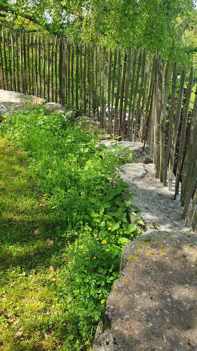 Albsteighost's tweet photo. Links davon steht eure Bank und über den Holzzaun schaut ihr auf den Weiher.
#Auszeit #Südschwarzwald #Ferienhaus #Chalet https://t.co/KqF8gJeIgO