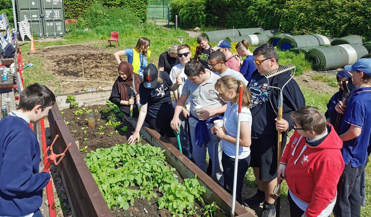 woodbeech2's tweet photo. Racecourse Garden team celebrating their fabulous 5 weeks of work. Superb achievements. They should be so proud. @WoodlandsHS @CardiffWestern @GardenWoodlands. https://t.co/JPBgl99i11