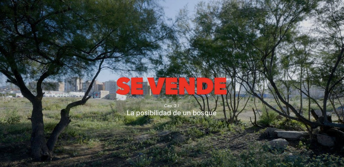 ¡Tenemos una estupenda noticia! Desde las 18 h. de hoy hasta el próximo domingo 28 de mayo, el documental 'La posibilidad de un #bosque', del director <a href="/daninatoli/">Daniel Natoli</a>, podrá verse en abierto a través de este enlace:
👉🏼 youtu.be/UUjhW285NUU
¡No te lo pierdas! 😊
#YoQuieroBUM 💚🌳