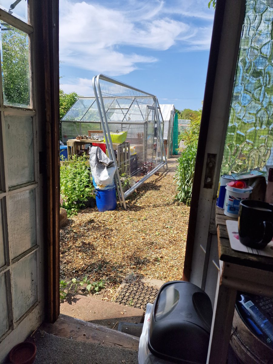 OurAllotment's tweet photo. We do currently have a building site vibe to #ourallotment at the moment ... hares fencing doesn't help. https://t.co/qUKtAxUk6r