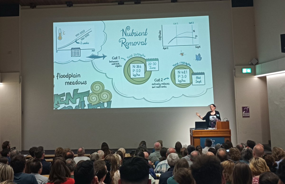 CarolineORourk2's tweet photo. @Vicky_Bowskill talking about her work on hay cutting for nutrient management in #floodplainmeadows. Two cuts at the right time can actively help reduce nutrients  #fmpconf23 https://t.co/tMXtdbs24v