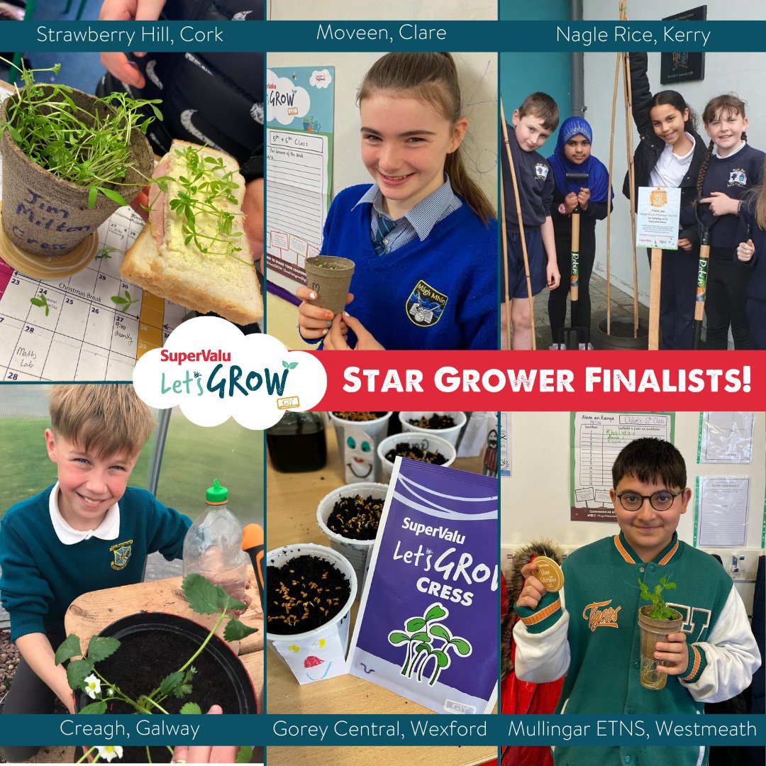 🌟🌱Meet our Star Grower finalists who are competing for the prestigious title of #SuperValuLetsGROW champions '23 &amp; €1000 toward their school garden thanks to <a href="/SuperValuIRL/">SuperValu Ireland</a>! 
Stay tuned as we unveil the winners soon #SuperValuLetsGROW <a href="/strawberryhns/">Strawberry Hill NS</a> <a href="/moveenns/">Moveen NS</a> @creaghschool