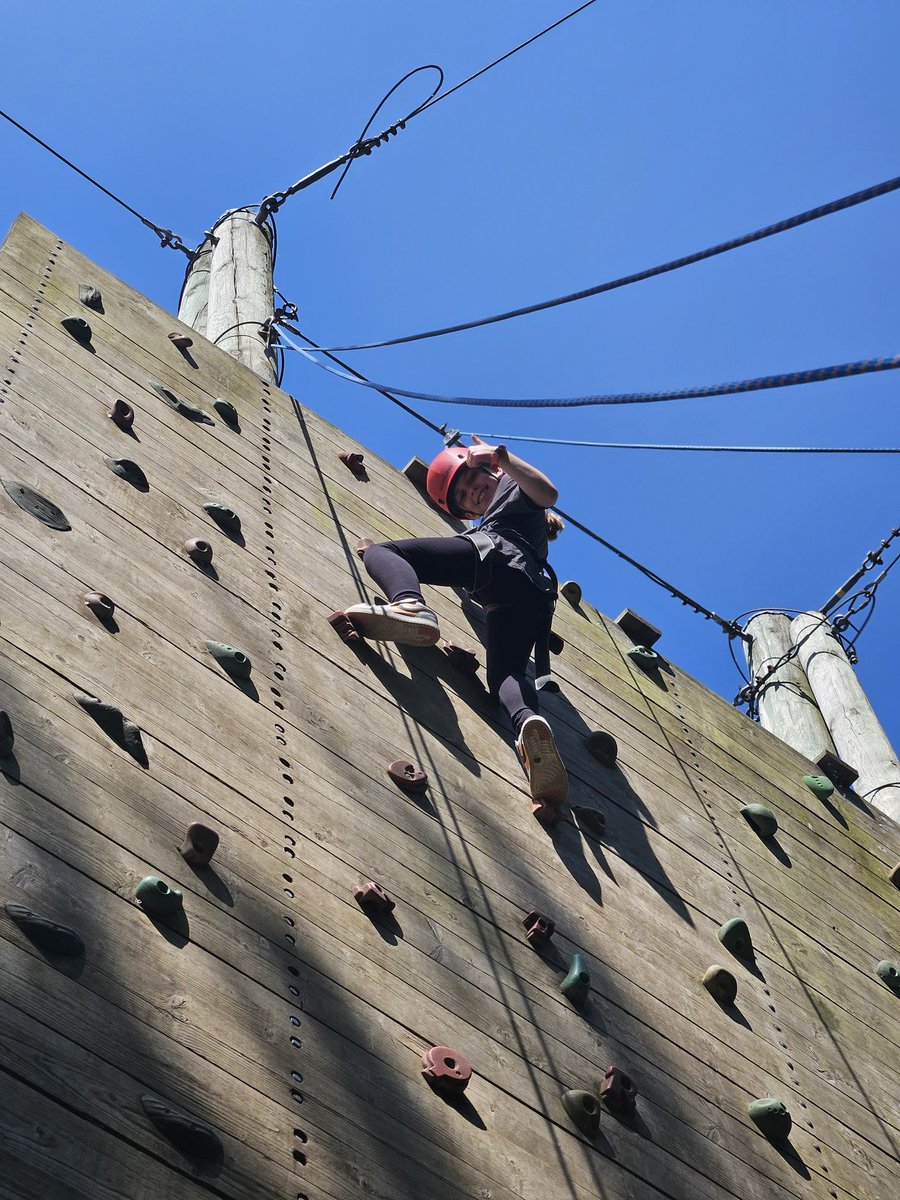 Northleigh Natterjacks tweet media