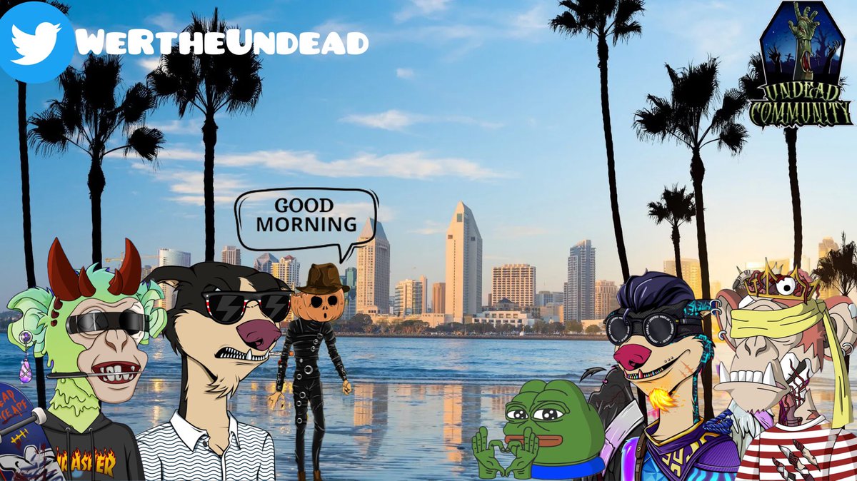 $PUMP | PUMPKINGS tweet media