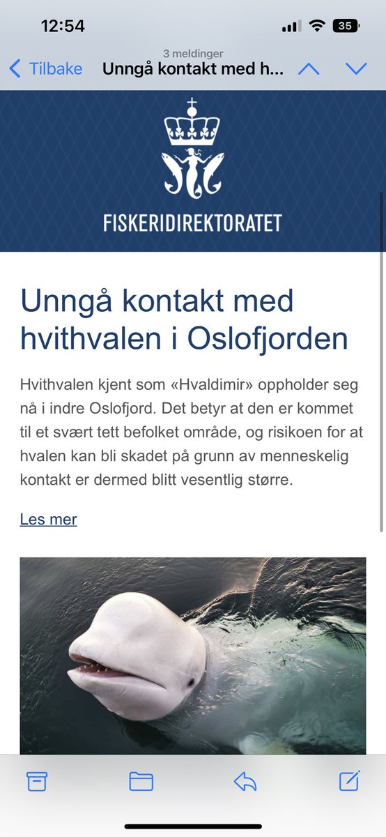 oledro1's tweet image. ELLERS SÅ SKYTER VI DEN! MIDT I TINNINGEN!!