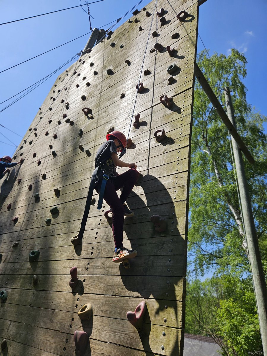 Northleigh Natterjacks tweet media