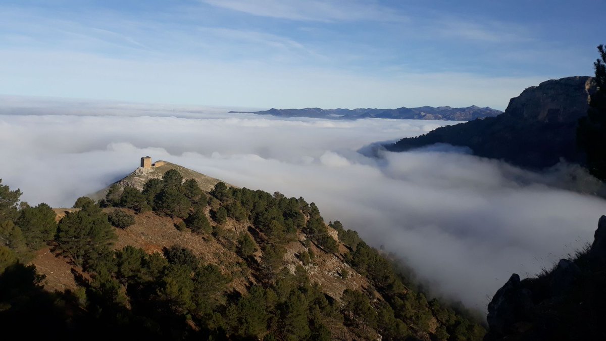 jaenturismo's tweet photo. 📰Cazorla, uno de los municipios más bonitos de #Andalucía según la Inteligencia Artificial por su paisaje, flora, fauna y encanto medieval... Conoce los detalles en @andaluciainf 
👉https://t.co/uFFgqttfcX
#JaénParaísoInterior @AytodeCazorla @QuebrantaPNCazo @turismocazorla https://t.co/p2tNYldPID