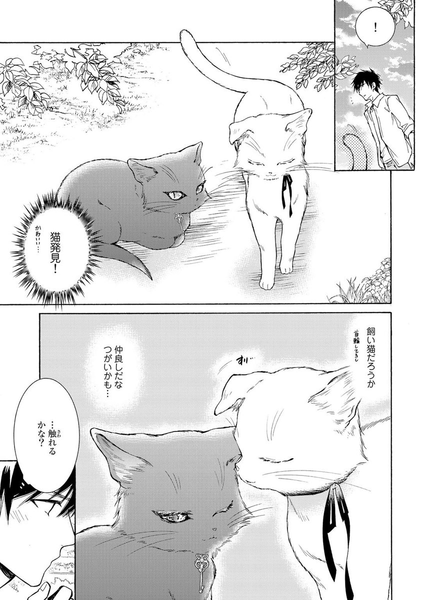 異世界で狼獣人の王弟から「僕のつがい、僕のお嫁さん」と言われる話🐺
(1/10)
#商業BL #創作BL
#漫画が読めるハッシュタグ