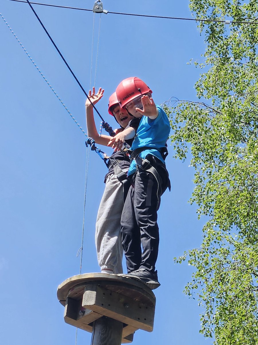 Northleigh Natterjacks tweet media