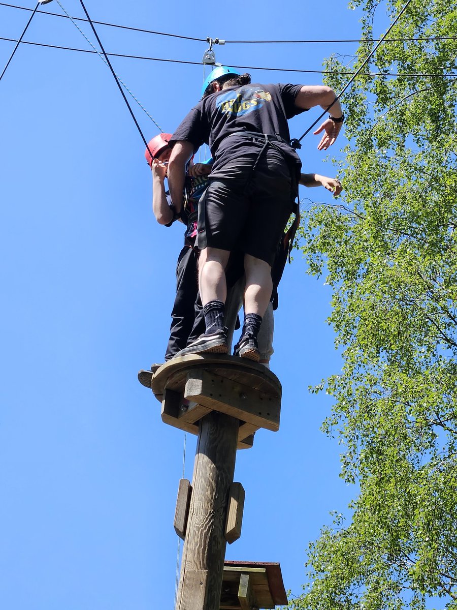 Northleigh Natterjacks tweet media