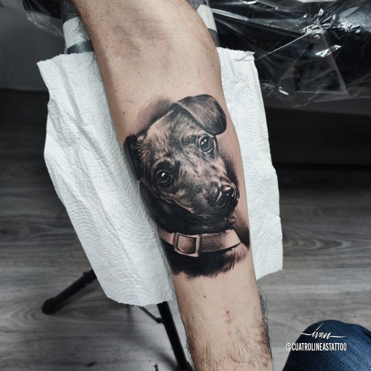 Pero qué bonico!!!
Y esque con esa miradita, quién no se tatúa este peque!!! Iván lo tatúa PERFECTO!

#tattoo #tatuaje #art #artist #carabanchel #madrid
 #ink 
#TatuajeRealista #AmorIncondicional #PerroFiel #TatuajeDeMascota #CompañeroCanino #SiempreConmigo  #AmoAMiPerro