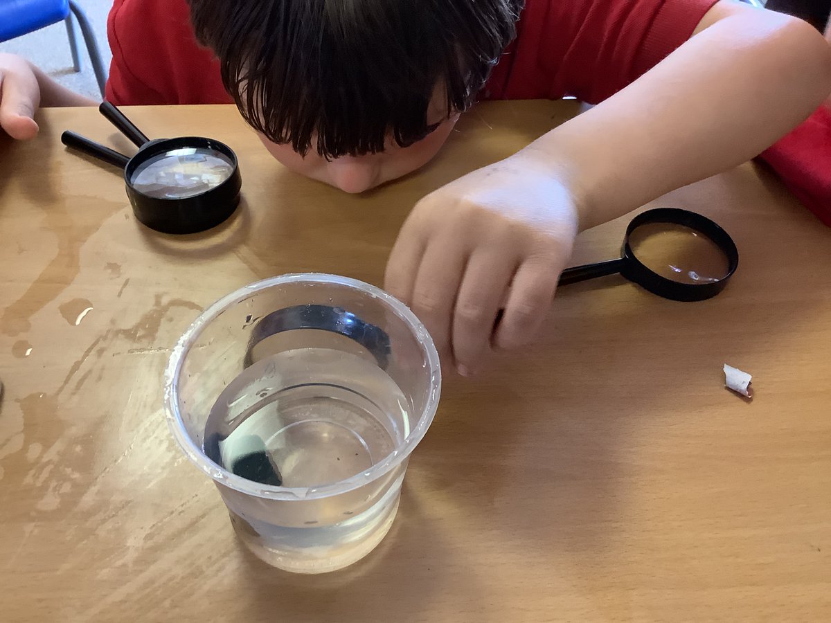 St Christopher's School tweet media