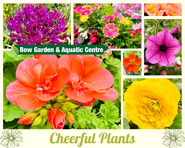 bow_gc's tweet photo. << Test First Name >> make this Bank Holiday weekend the best one yet - https://t.co/gLhlXyfdhi https://t.co/XlG7xxgRK0