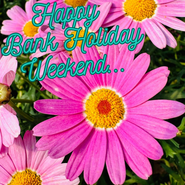 << Test First Name >> make this Bank Holiday weekend the best one yet - mailchi.mp/a64bb38f08d3/g…