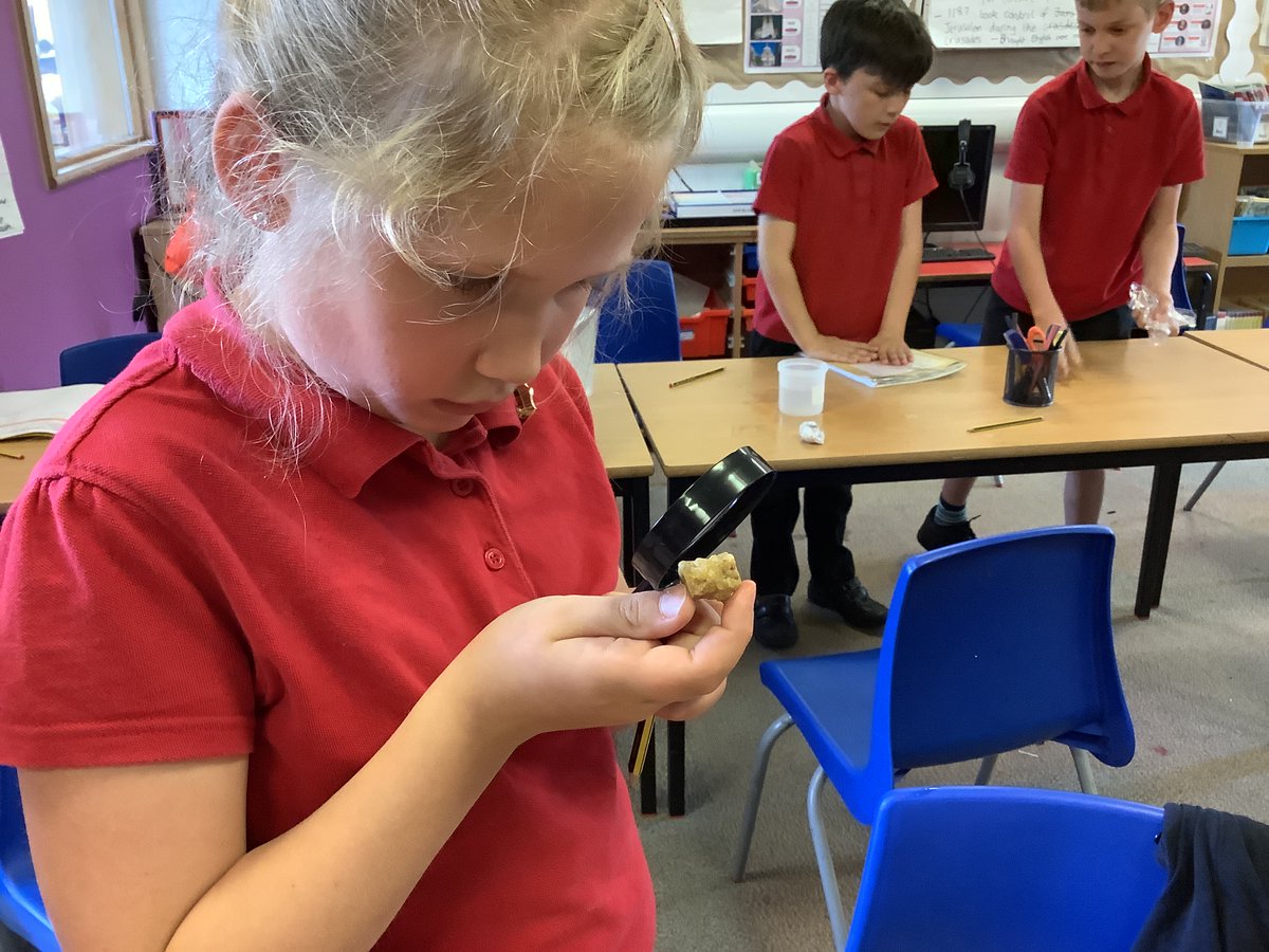 St Christopher's School tweet media