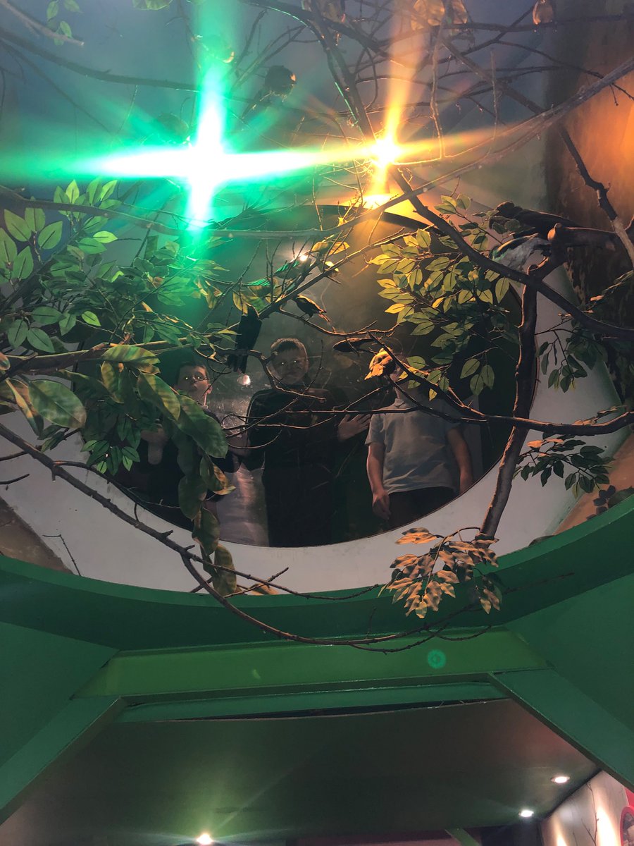 Canada class are exploring the World Museum today! The students are particularly interested in the Dinosaur fossils as we have learnt all about rocks and fossilisation this term 🪨 🦕 <a href="/AbbotsLeaSchool/">Abbot's Lea School</a>