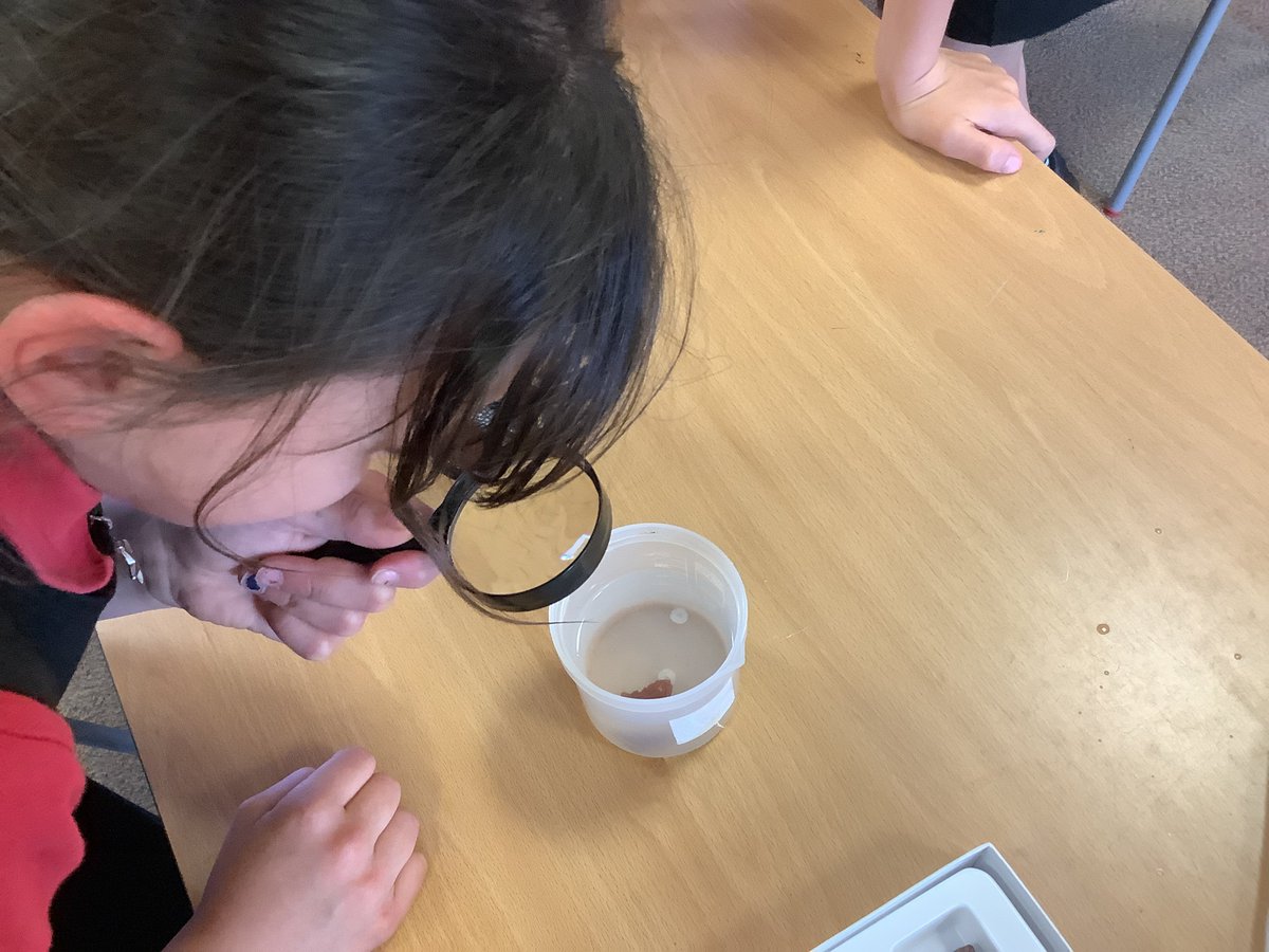 St Christopher's School tweet media