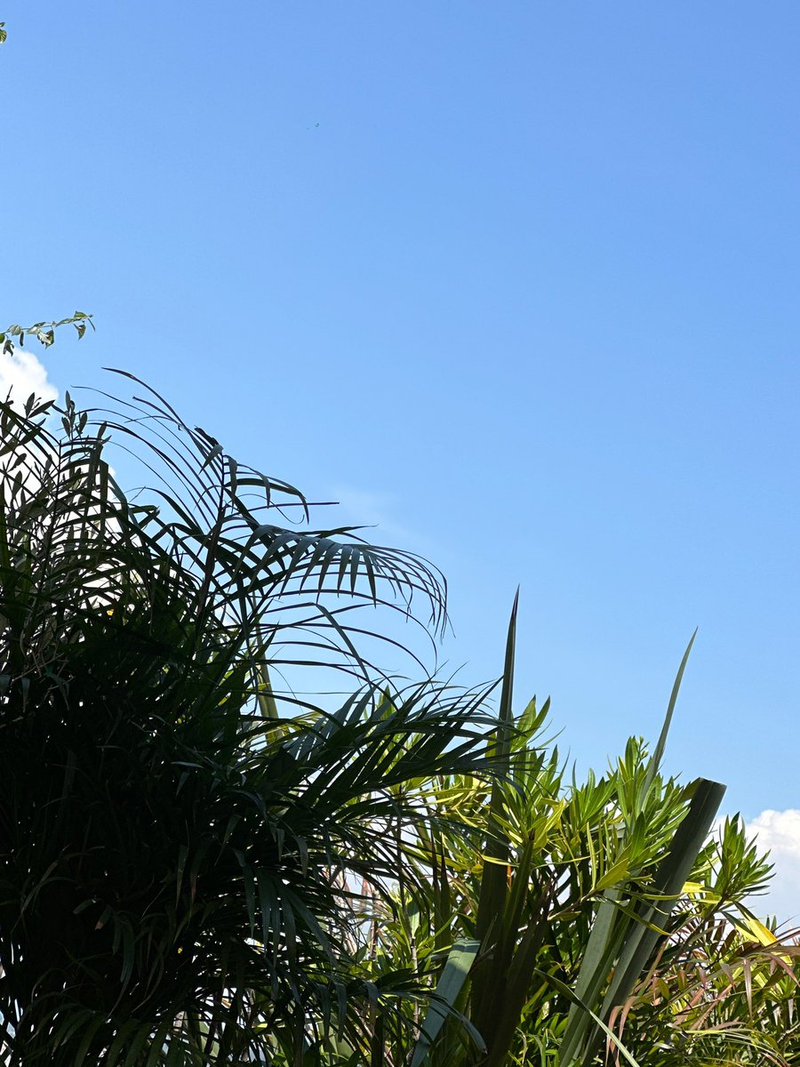 aespasbbl's tweet photo. [230523] 8:04PM KST/1:04PM CEST: ⭐️

- the weather is soooo nice here
- +📸
- does this sky even make sense.. https://t.co/5m97bixlSM