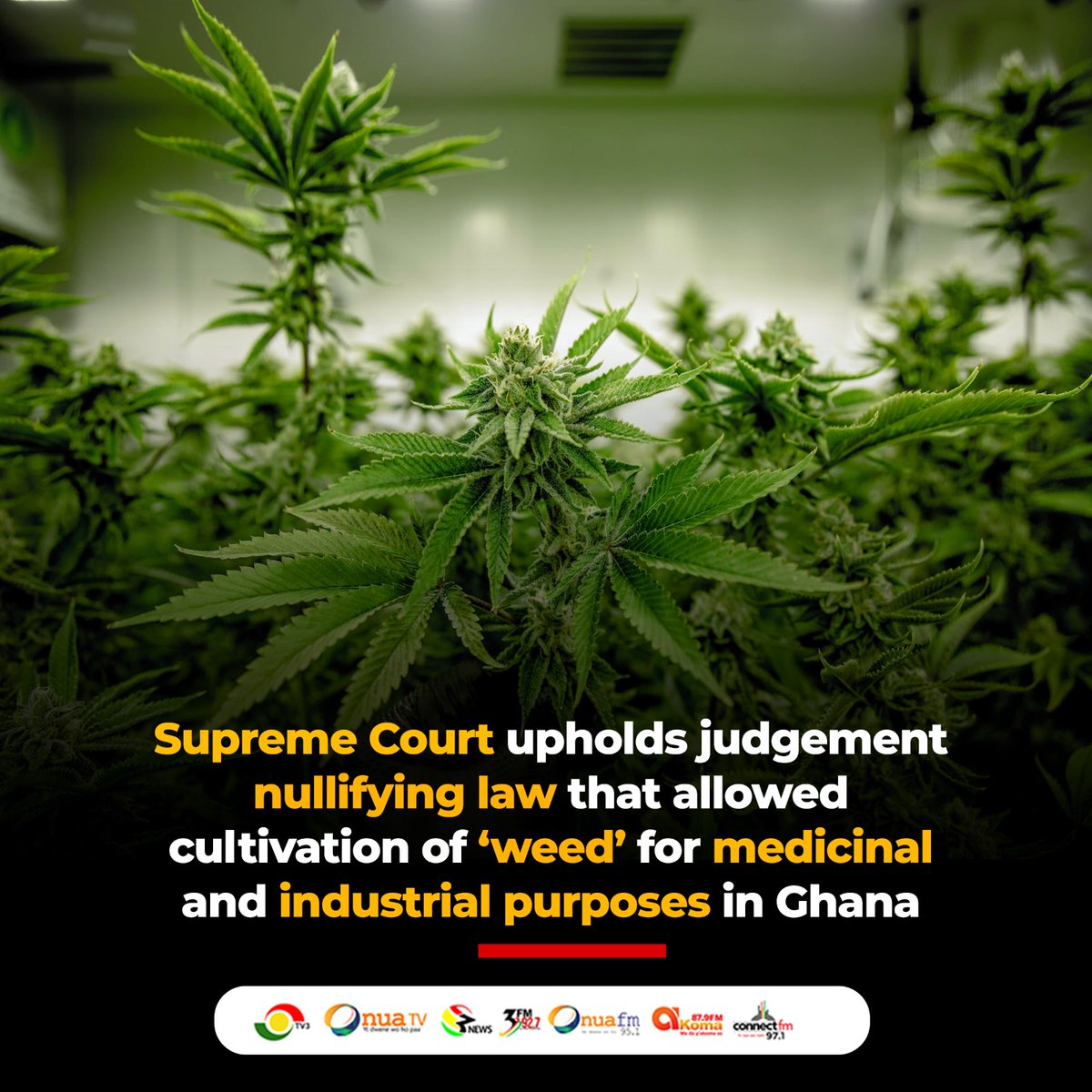 tv3_ghana's tweet photo. Supreme Court in a majority decision has affirmed its view that the law allowing cultivation of weed in Ghana was unconstitutionally passed by Parliament

#3NewsGH https://t.co/dpa1airzUD
