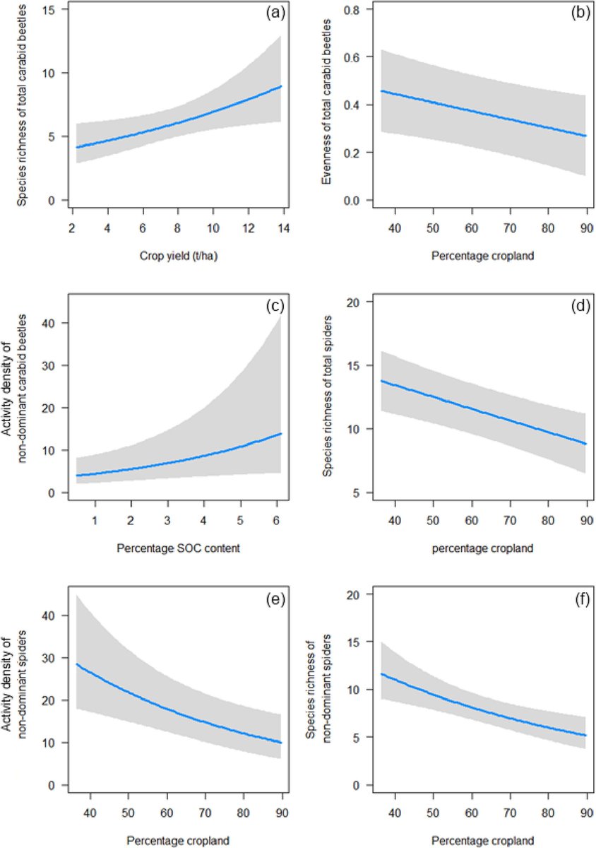 Community ecology of carabid beetles tweet media