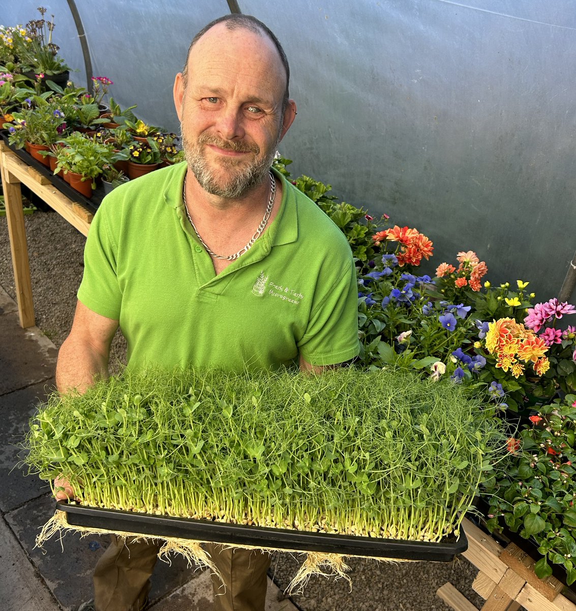 RadarforPR's tweet photo. Thanks to @heraldwales for this one on the rapid growth of @FTmicrogreens.

Congratulations to Steve and the team:

https://t.co/bGmB2vqrsN https://t.co/a479fAZSG1