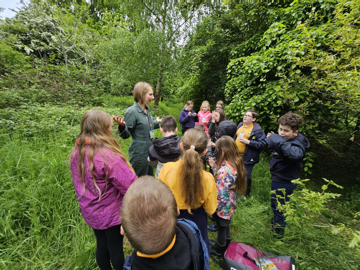 minishant_ps's tweet photo. Class 2 had some fun exploring the woodlands with Katie from Under Sky. #outdoorlearning https://t.co/iSNPNUQjVl