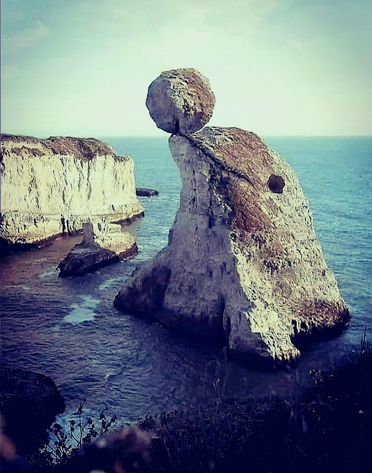 senecoattitude's tweet photo. La nature réussit toujours à nous surprendre non ! ♻️Respectons là #environnement #ecologie #ClimateAction #kebetu #NaturePhotography #nature https://t.co/YrhUVOXDgY