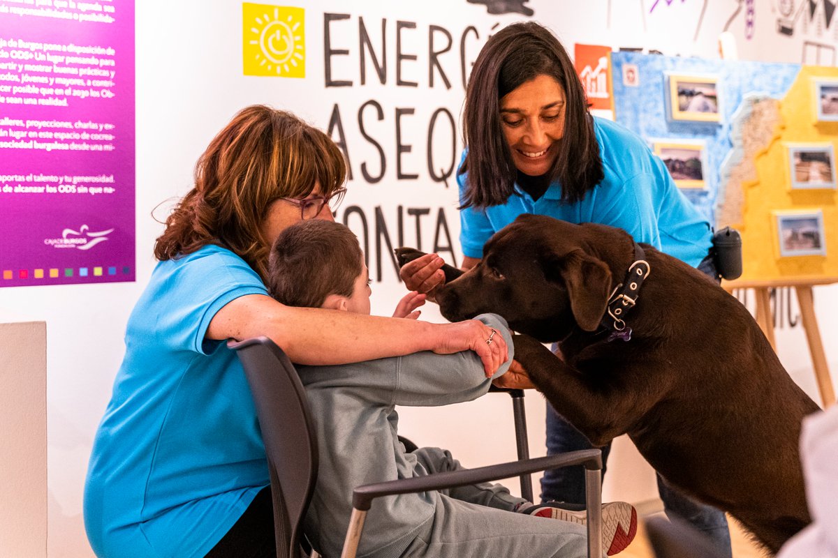 ¡Seguimos con nuestro #MesSocial! Nuestros voluntarios han acompañado a los niños de cuidados paliativos del Hospital Universitario de Burgos a realizar una terapia asistida con perros. 🐕❤️

¡Este mes todos cuentan con nosotros! 🙌

#VoluntariadoCaixaBank #AcciónSocial