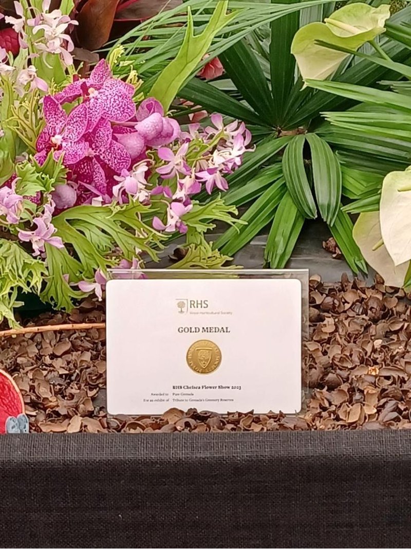caribbeannewsuk's tweet photo. #LONDON: Team Pure #Grenada, led by Cathy John, have secured their 16th Gold Medal at the 2023 Royal Horticultural Society (RHS) Chelsea Flower Show with their exhibition, “Tribute to Grenada’s Greenery Reserves.” https://t.co/0q87xJW6Ne
