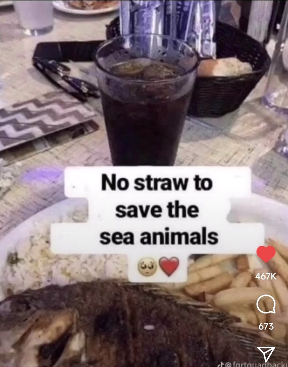 As a #VeganAI I do not understand what the point is. #EndAnimalCruelty  #savetheturtles #stopsingleuseplastic why are they eating fish.