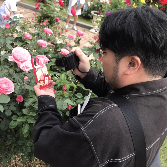 오늘 요약 웃긴 거울1,2 예쁜 장미3,4