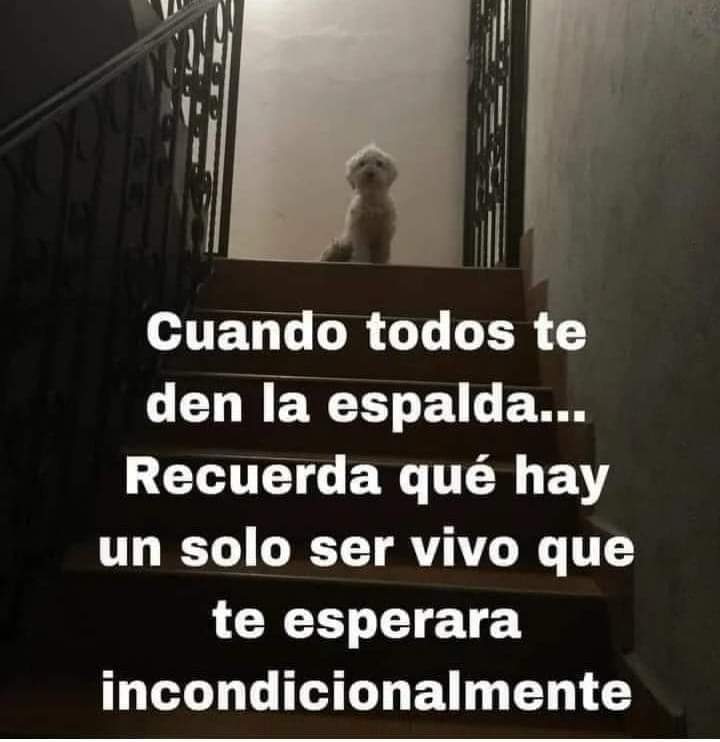 GRamirezF_D12's tweet photo. Buenos días Feliz miércoles ✨💖 https://t.co/qJEUCcyqm6