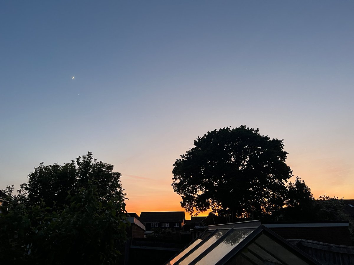 Gm🌙

It’s a nighttime photo but somehow feels a right fit for this fresh morning

Have a good day🌻