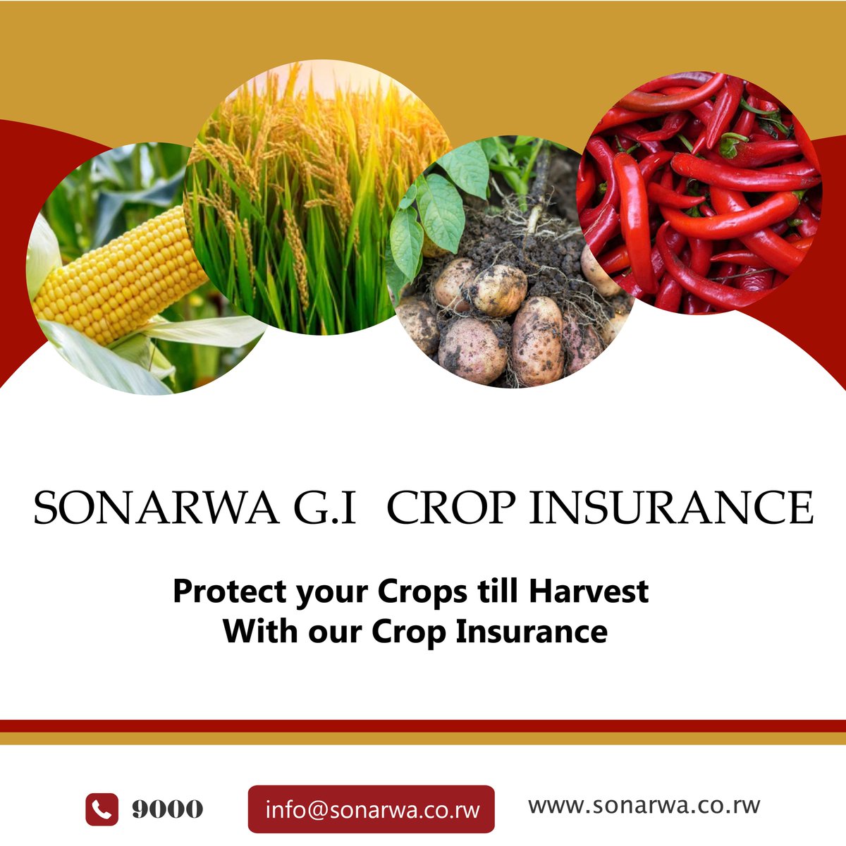 Farming can be unpredictable and risky. That's why a solid and affordable crop insurance policy is a necessity. Buy the <a href="/SONARWA/">SONARWA GENERAL INSURANCE</a> Crop Insurance now and be sure that your crops are protected till the harvest. For any assistance, call us on 9000. 
#CropInsurance
#SONARWAGI