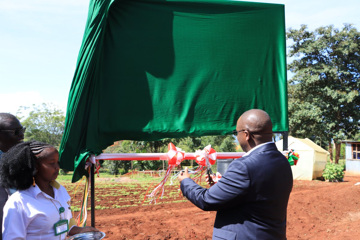 ChiamFosc's tweet photo. 12th of May, @ChiamFosc had its official project launching workshop at @DeKUTkenya. The event attracted large stakeholder and media interest - with showcasing also the recently built mushroom growing house! #chia #oystermushroom #climatesmart https://t.co/P39dM2uPut