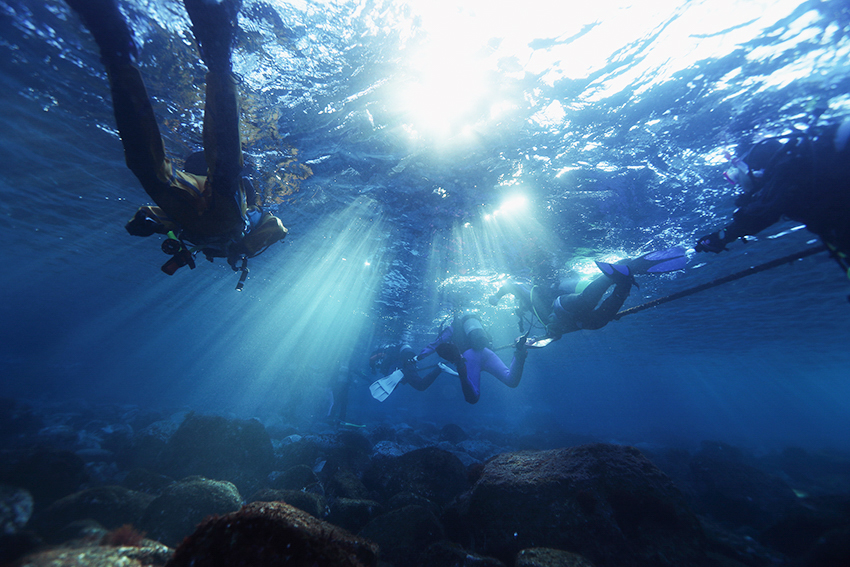 DIVESHOPTAIL's tweet photo. まだ伊豆の水温は冷たいですがそろそろウェットスーツで潜れる気持ち良い季節が訪れます。
友達や会社の同僚、お子さんやお孫さんでダイビングに興味がある方がいましたら、是非紹介して頂き、一緒に潜ってみませんか？
紹介に限り、Cカード取得を特別価格でご案内いたします。詳しくはスタッフまで。 https://t.co/C0YXc2wK6l