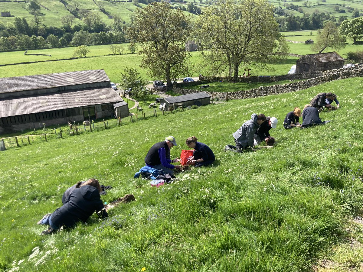 Looking for earthworms in Tees-Swale and hoping for some vice county firsts… @earthwormsoc @hazelbrowfarm