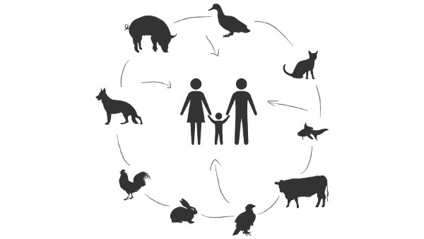 A día de hoy, la sociedad sigue sin reconocer adecuadamente el papel del veterinario como clave en en la Salud Pública.

¿Porqué l@s veterinari@s somos una pieza fundamental de la Salud Pública?⚕️🐃🐅🐈🐕🐠

Vamos a explicarlo. Abro hilo! 👇🏽🧵