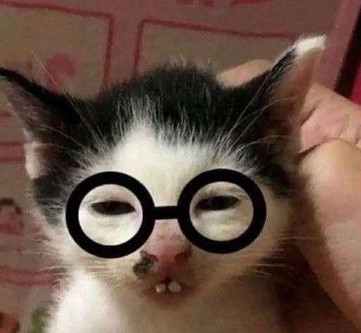B0YPUPP's tweet photo. @urpupslutbf uhmm ackhtualljly https://t.co/7EvPwzLbtN