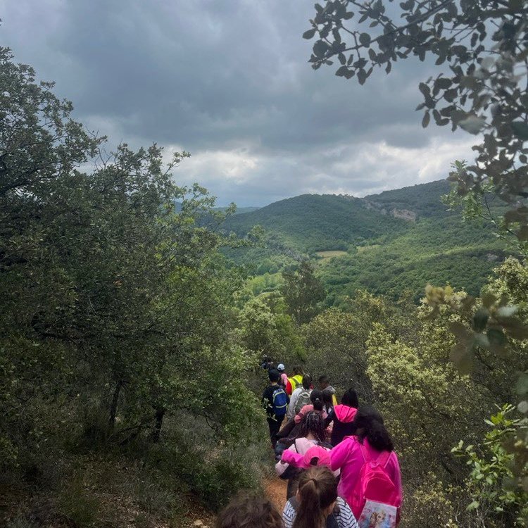 ceip_fcovitoria's tweet photo. Burgos es riqueza natural
Nuestro alumnado de P4 está descubriendo y disfrutando de la #naturaleza en las #Merindades #MolinodeButrera
Convivencia, diversión, experiencias, sensaciones, ejercicio físico...
Cuidado y respeto por el entorno natural!
@ceip_fcovitoria #ODS @educacyl https://t.co/to9fYqiMqN