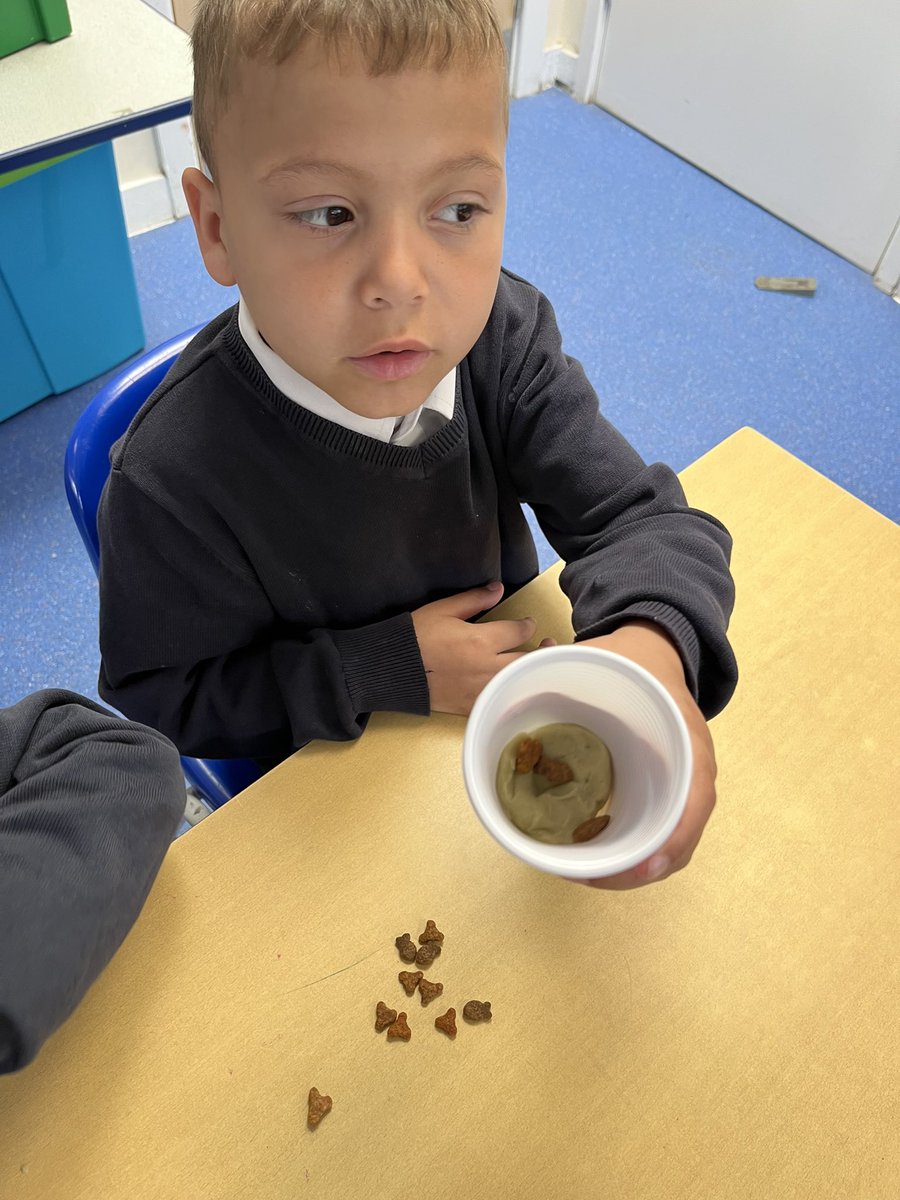 Y3SaintFrancis's tweet photo. We made fossils to help us understand the process of how they are formed. We buried bones into “sediment” and created some pressure to allow decomposition and therefore creation of a fossil! #sciencestannesgaE1 @StAnnesgaCPS https://t.co/chsB1FB0sb