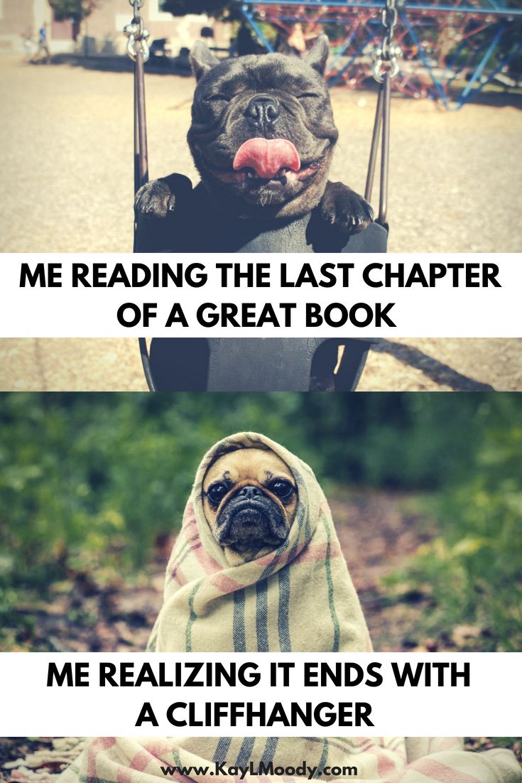 What are you reading this week?

In picture: 📷- #CurrentMood

#WednesdayMusings #Justforlaughs #BookLovers #P3shares #BookRecommendations #BooksWeLove #ReadingList #YourNextRead