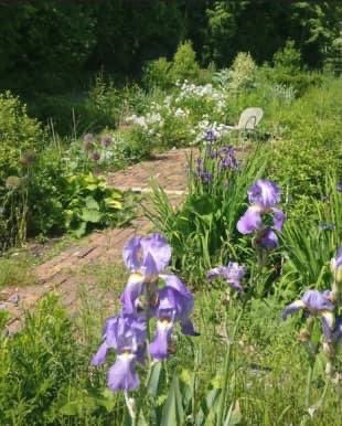 evolution_arts's tweet photo. If you enjoy plants, art &amp; the outdoors, join our Late Spring Flowers, Botany, Folklore &amp; Artwork workshop this Saturday at Hearts &amp; Flowers, Stanmer Organics, #StanmerPark 
A delightful day #learning in nature this #BankHoliday weekend. https://t.co/wFUhA5Oq0g

#botany #sussex https://t.co/opHoycewsJ
